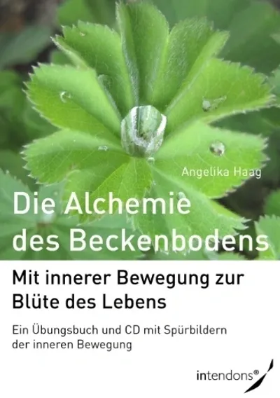 Alchemie des Beckenbodens